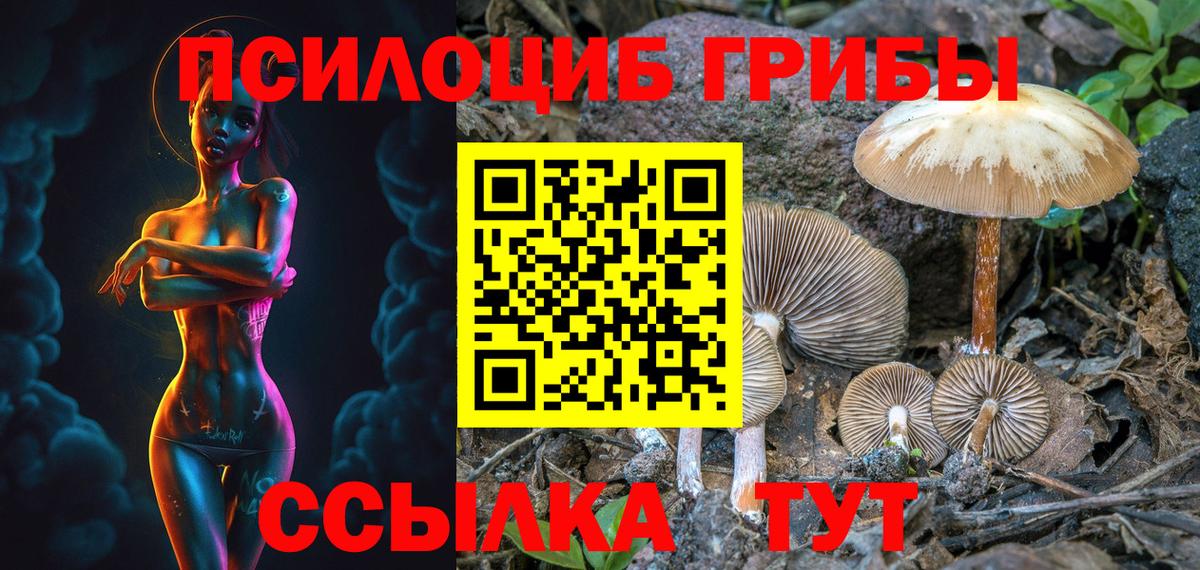 ГАШИШ  Вход с VPN  Кингисепп  Кокаин  МЕФ   Канабис  Метамфетамин  ЭКСТАЗИ 